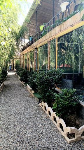 عکس باغ رستوران صفاییه