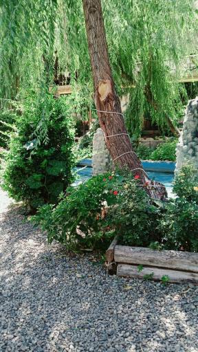 عکس باغ رستوران صفاییه