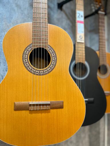 عکس گالری موسیقی کاوال 