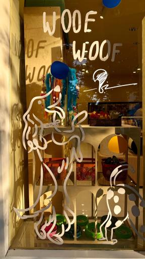 عکس پت شاپ سنجاب