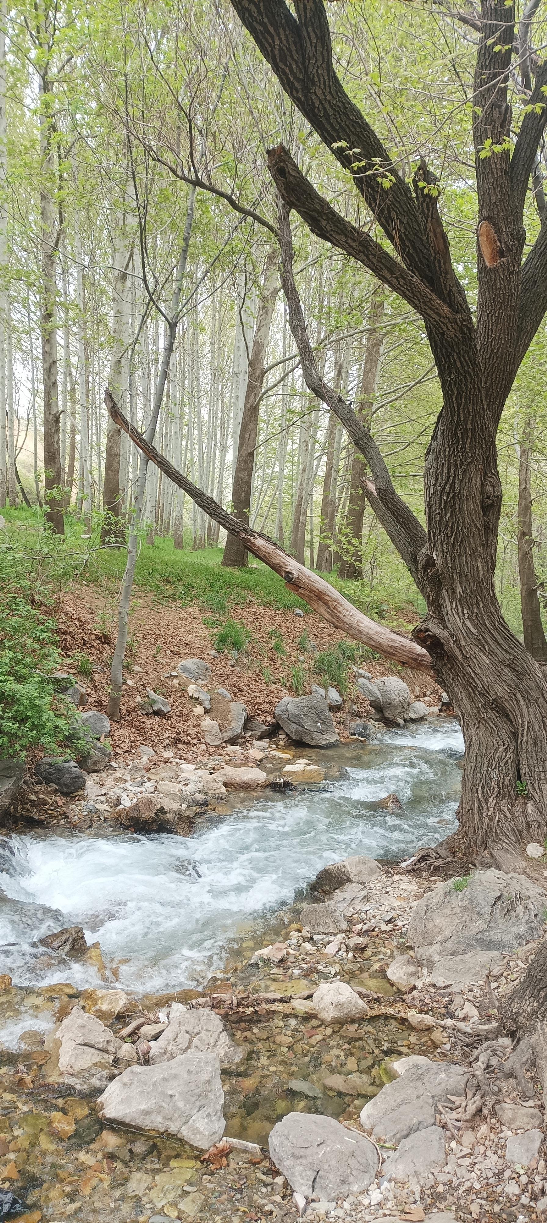 عکس ساحل مصنوعی بوستان آزادگان