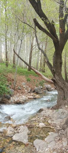 عکس ساحل مصنوعی بوستان آزادگان