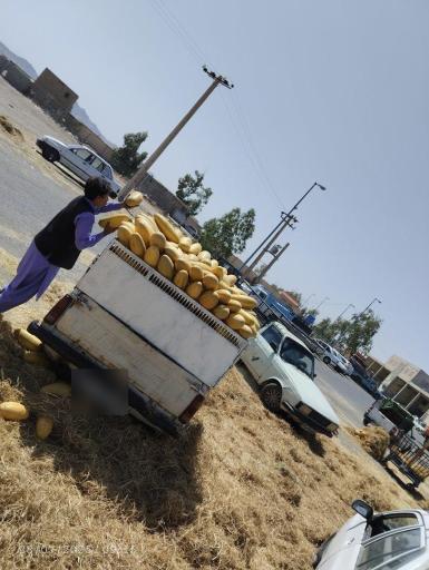 عکس میدان میوه و تره بار زاهدان