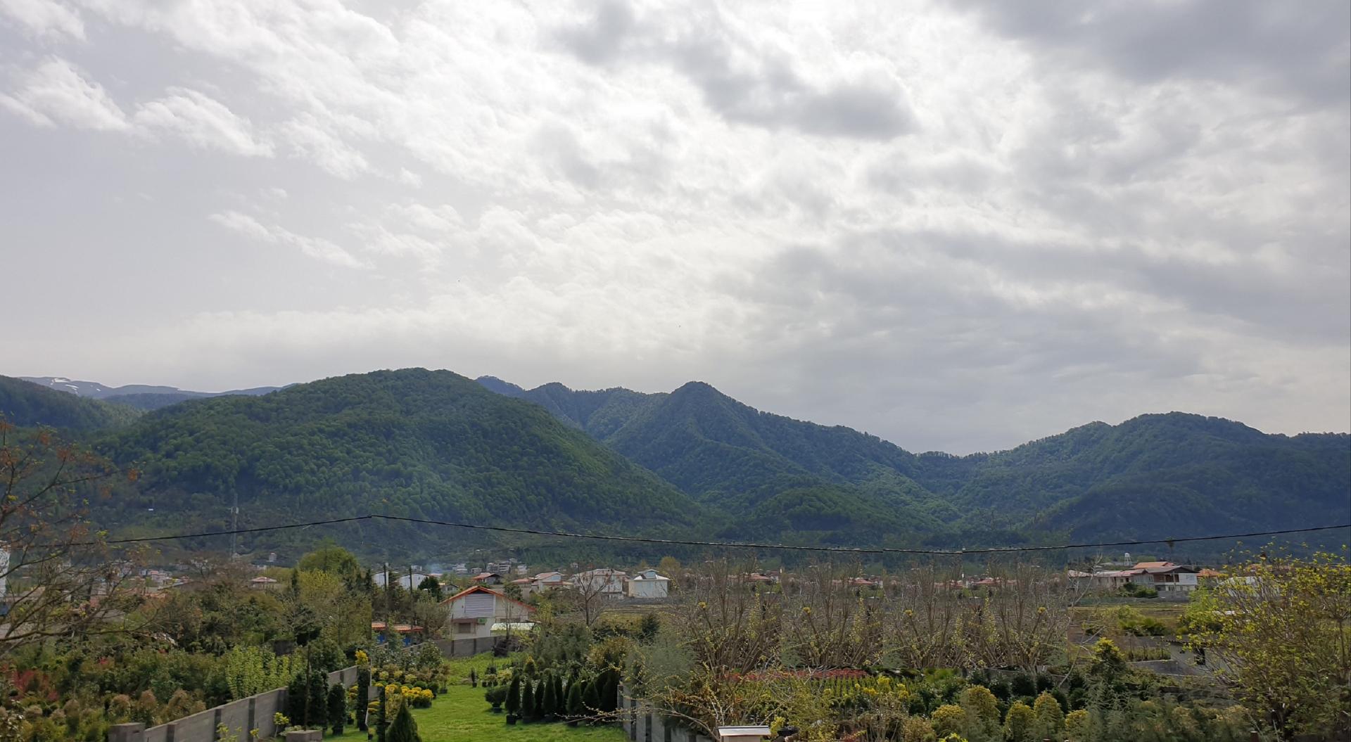 عکس رز اوشیان