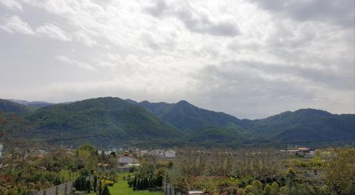 عکس رز اوشیان