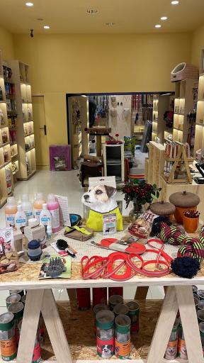 عکس پت شاپ سنجاب