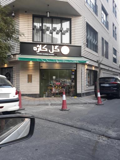 عکس گل فروشی کاژه