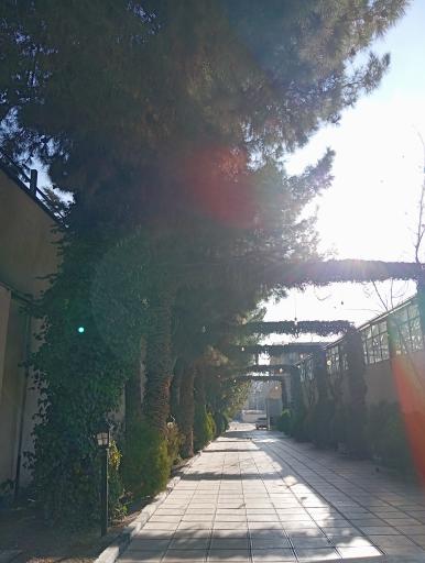 باغ تالار باران