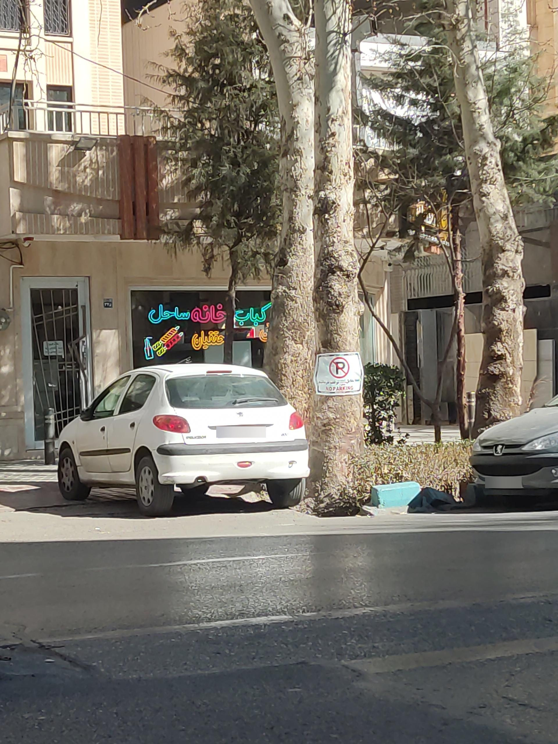 عکس کباب و بریان ساحل محققیان