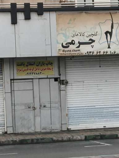 عکس چرم دیانا