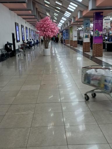 عکس مجتمع نجم خاورمیانه