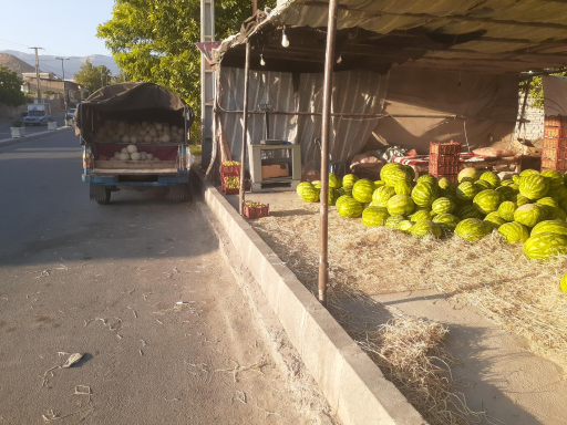 عکس میوه سرای غارَلر