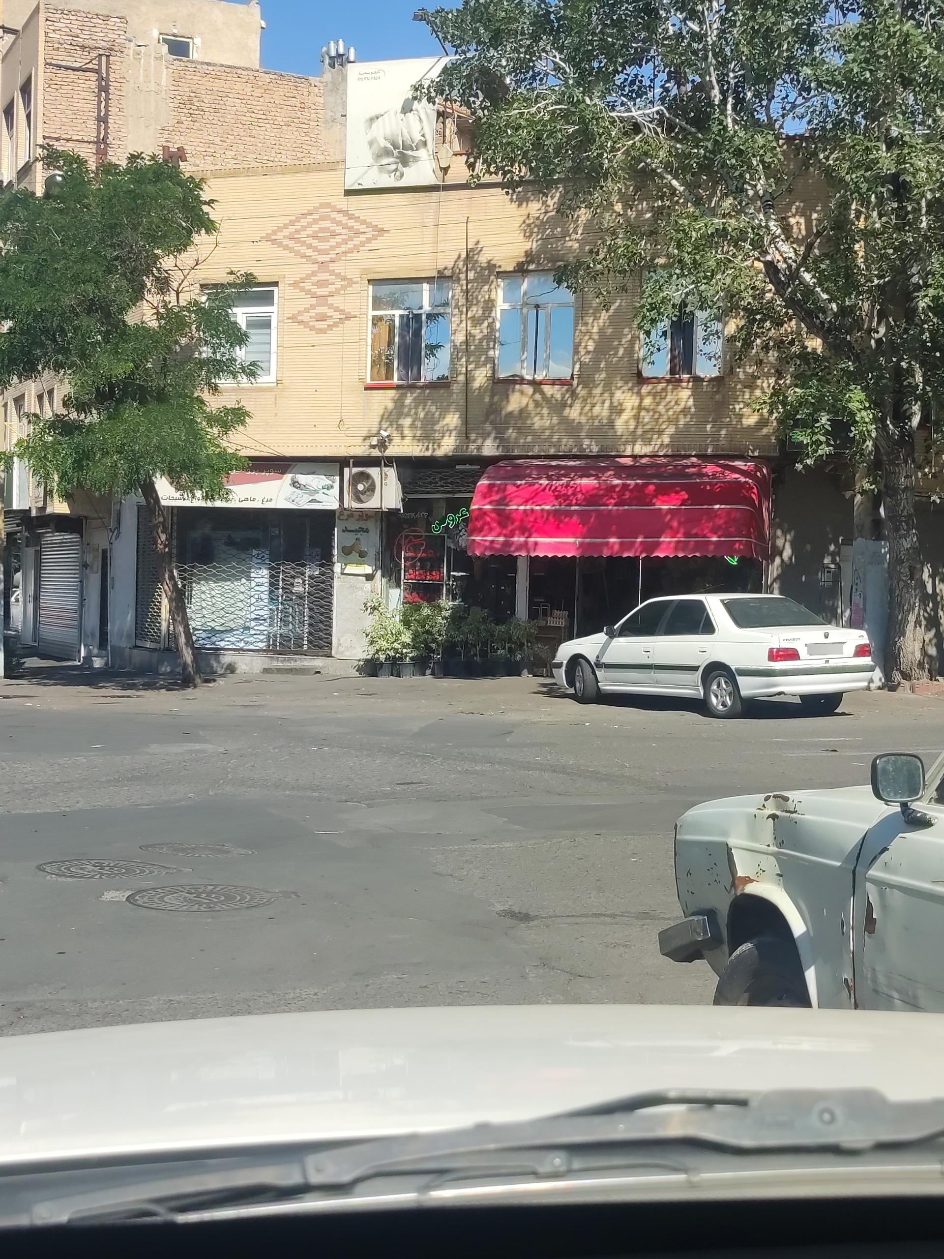 عکس گل فروشی وحید