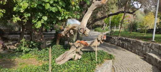 عکس قنات باغ وکیل آباد