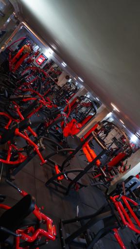 عکس باشگاه بدنسازی امیرعلی