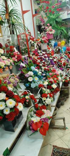 عکس گلسرای جام جم