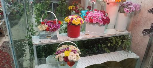 عکس گلسرای جام جم