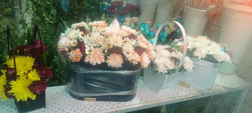 عکس گلسرای جام جم