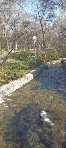 عکس قنات باغ وکیل آباد