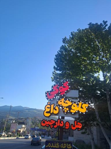 عکس کلوچه پزی هل و دارچین 