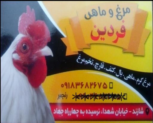 عکس مرغ وماهی فردین