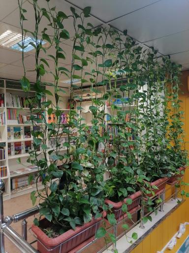 عکس فروشگاه تخصصی کتابشهر نوجوان 