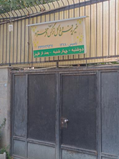 عکس خیریه فروغ گل نرگس فرحزاد