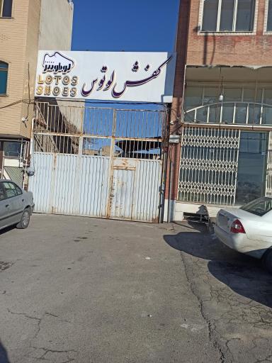 عکس کفش لوتوس