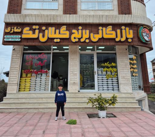 عکس برنج گیلان تک نمازی