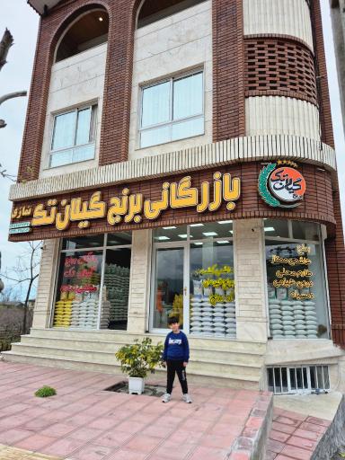 عکس برنج گیلان تک نمازی