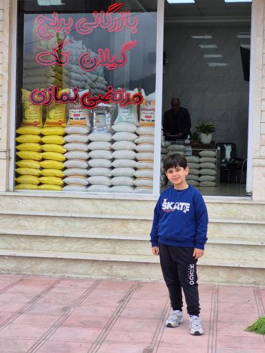 عکس برنج گیلان تک نمازی