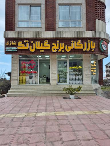 عکس برنج گیلان تک نمازی