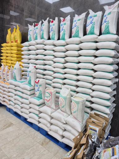 عکس برنج گیلان تک نمازی