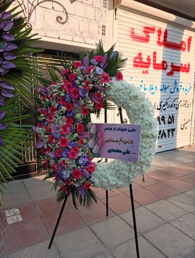 عکس گل سرخ بهشت