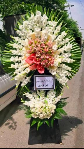 عکس گل سرخ بهشت