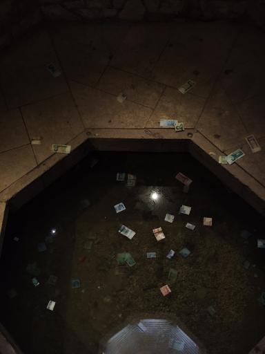 عکس حوضخانه آرامگاه سعدی