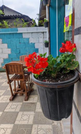 عکس کافه لاله زار