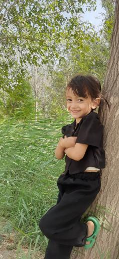 عکس پارک جنگلی