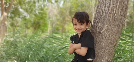 عکس پارک جنگلی