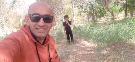 عکس پارک جنگلی