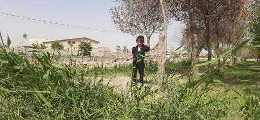 عکس پارک جنگلی