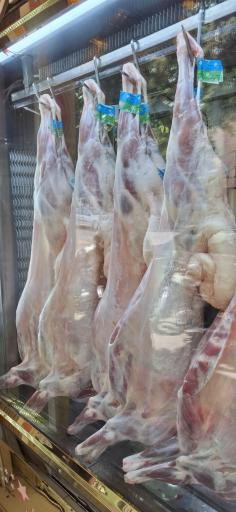 عکس سوپر گوشت مولوی