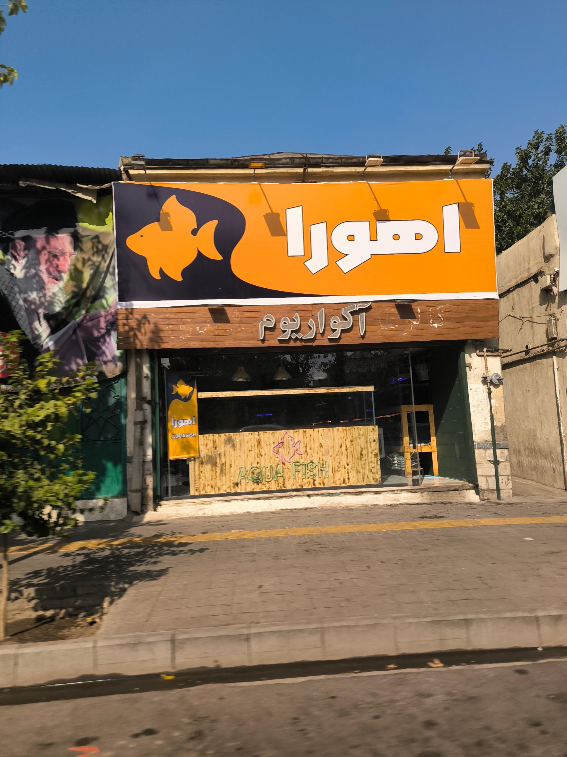 عکس اکواریوم اهورا