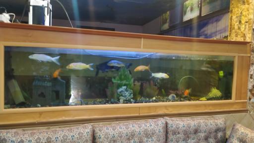 عکس رستوران و فست فود شایان