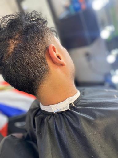 عکس سالن موی جعفری