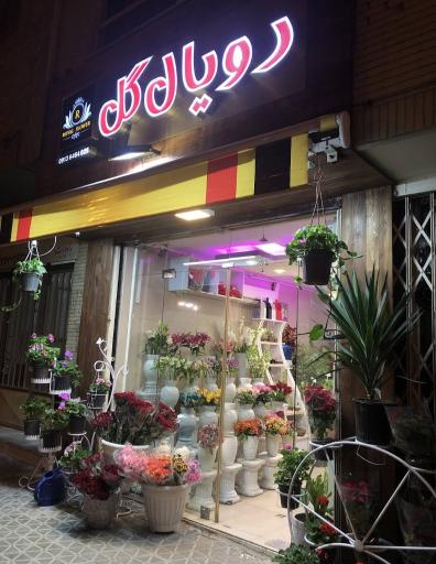 عکس رویال گل