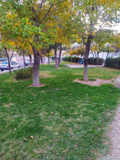 عکس بوستان لاله