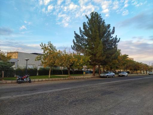 عکس بوستان لاله