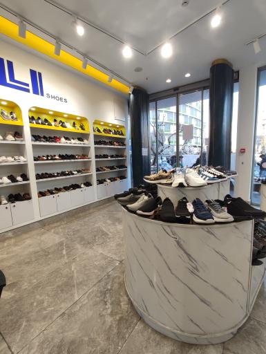 عکس کفش ملی