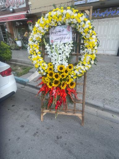 عکس رویال گل